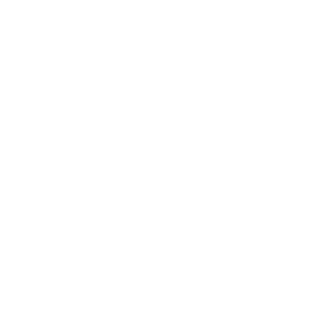Mercados de la Mision