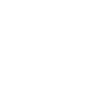 Nordik