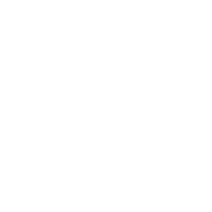 Virtual Arena